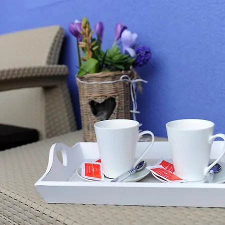 Apartment Primera Luxury